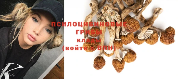 метамфетамин Гусев